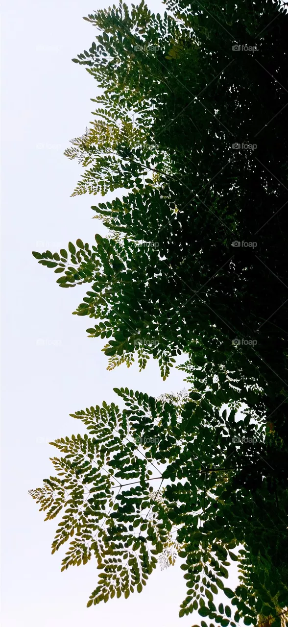 💚