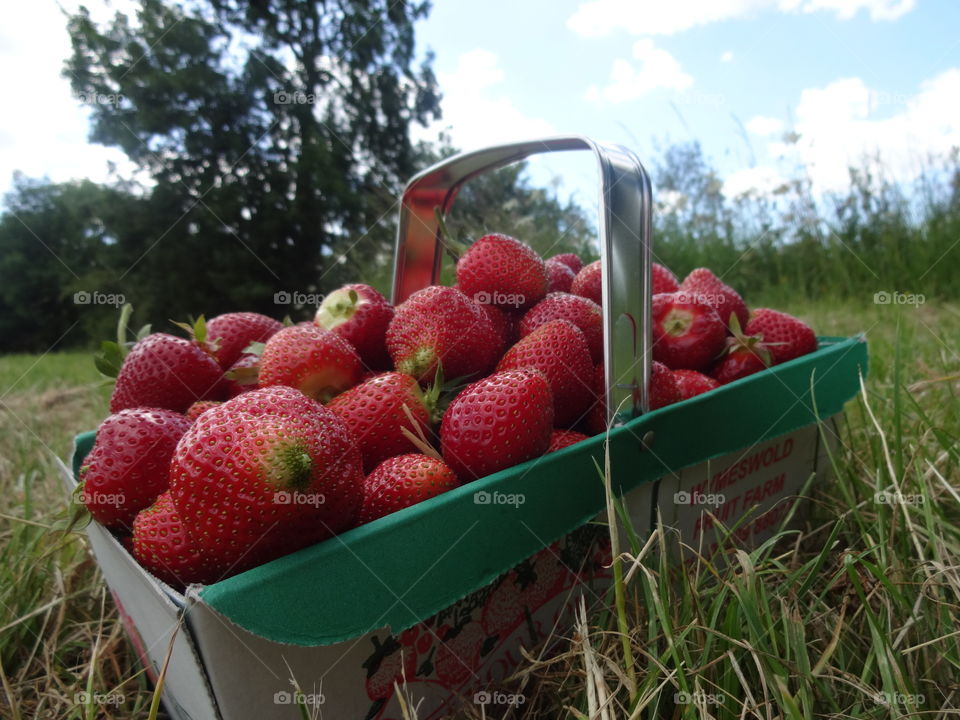 strawberries