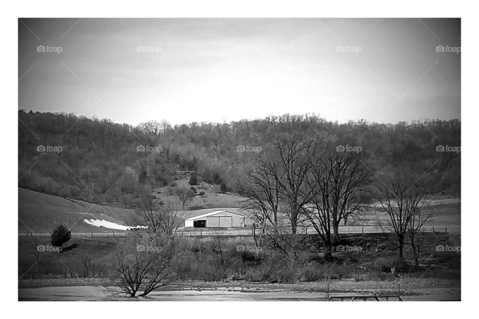 Driving the Back Roads and enjoying everything around us