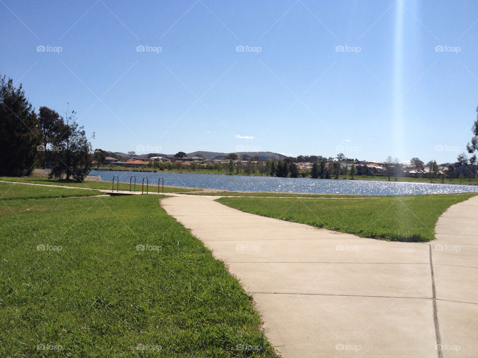 grass sunny lake path by splicanka