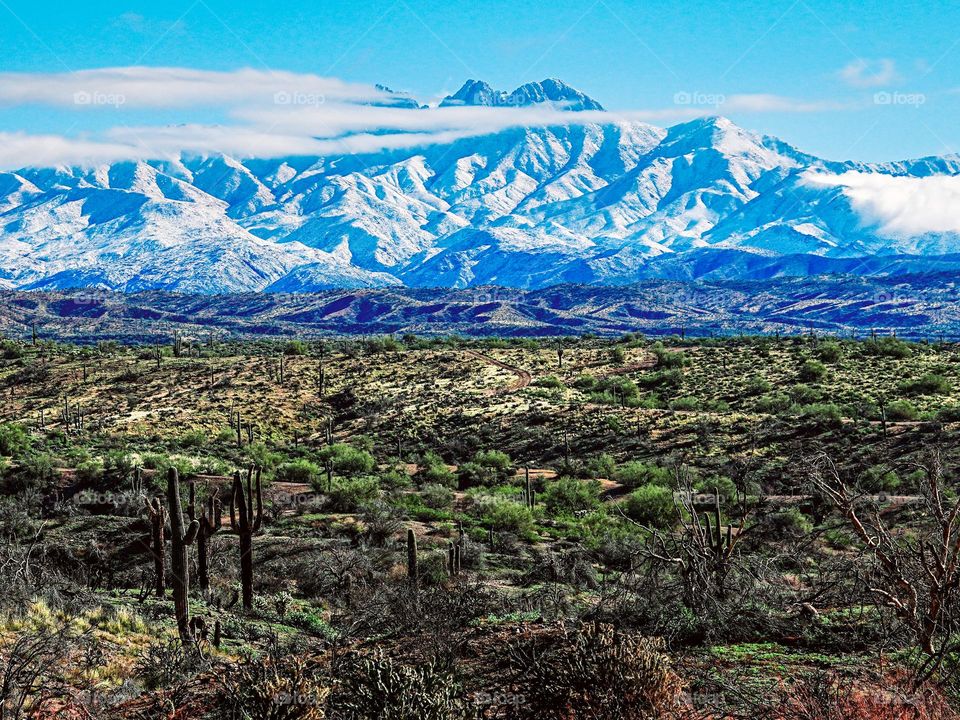 A rare winter storm coats the Four Peaks range near Phoenix Arizona in deep snow while the desert springs to life with some much needed precipitation