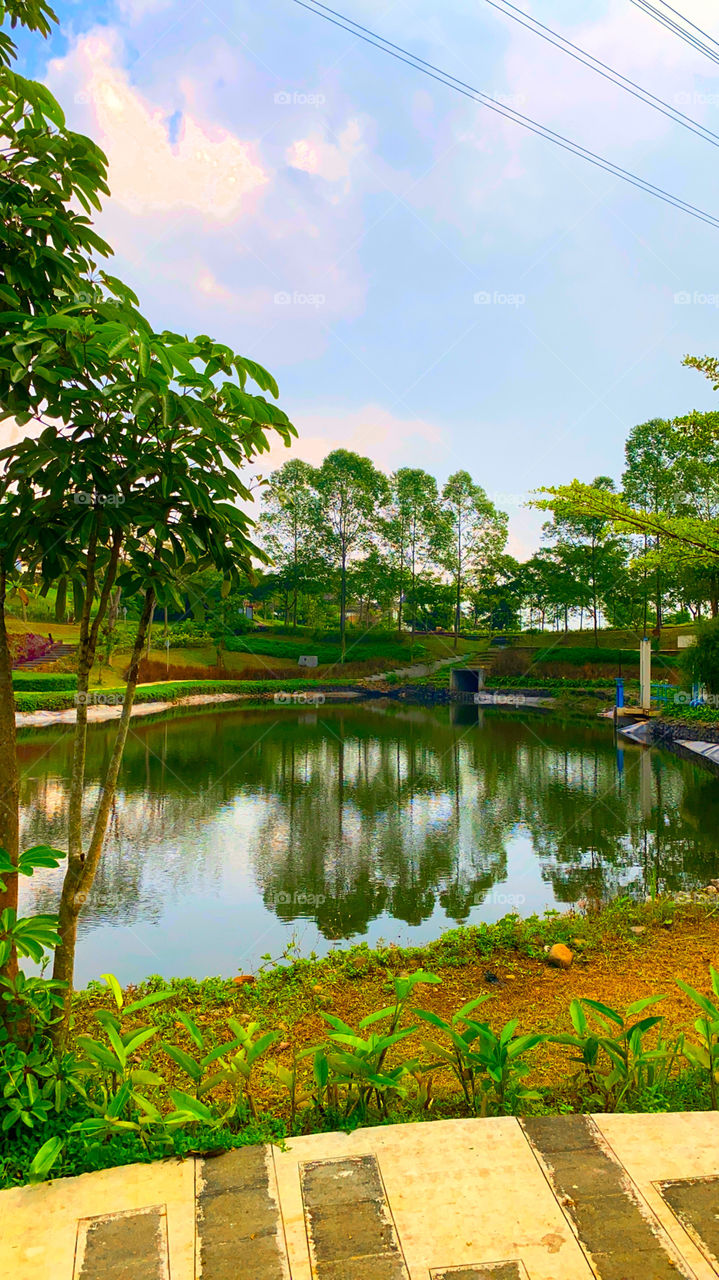 Reflections at lakeside
