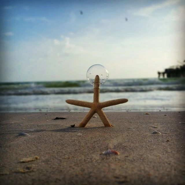 Patrick