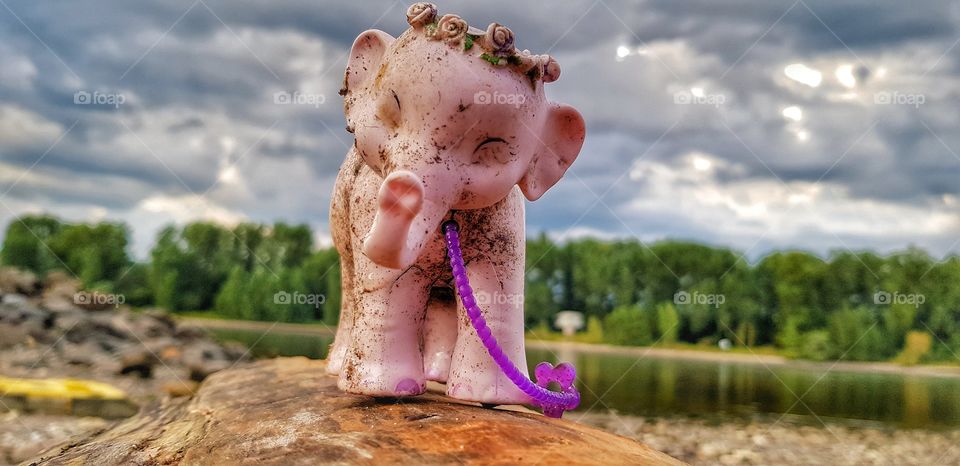 Strandgut Rheinstrand Koblenz Germany