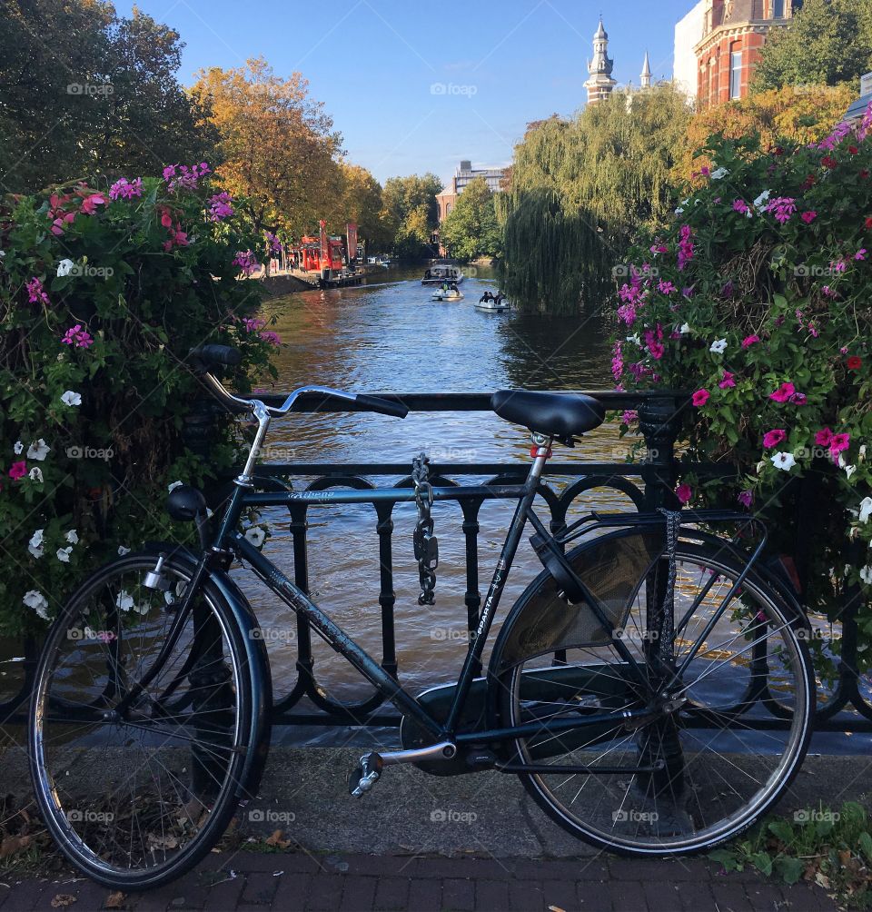 Amsterdam, Netherlands