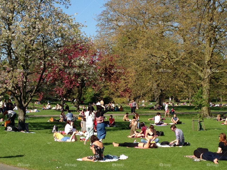 Picnick time at Regents park