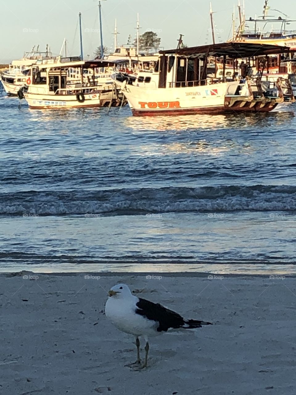 Praia dos Anjos. Arraial do Cabo.