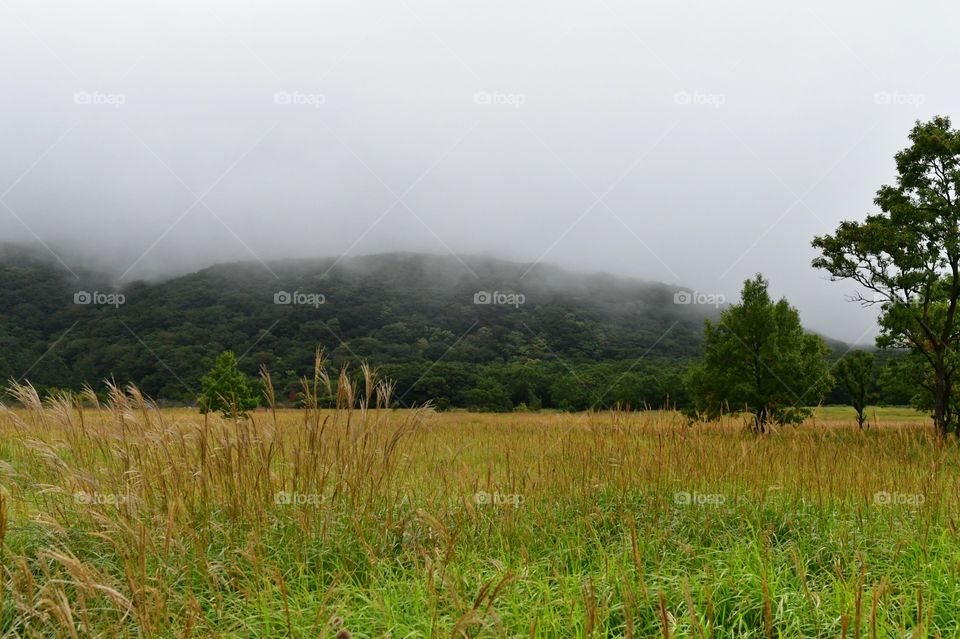 Grasslands and mountains