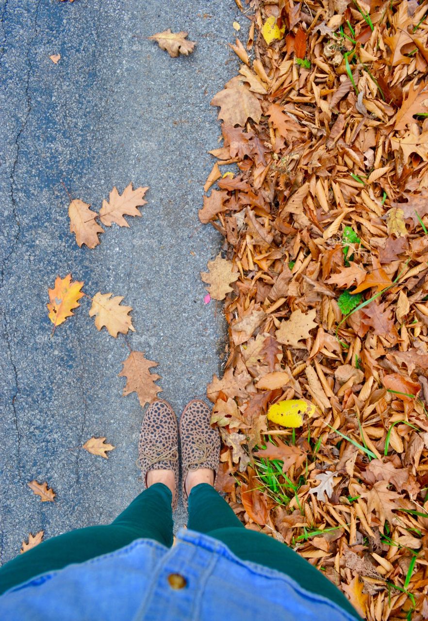 Fall walk