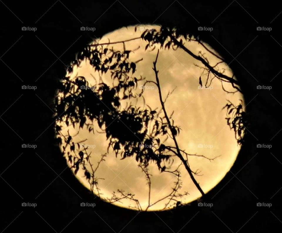 large moon