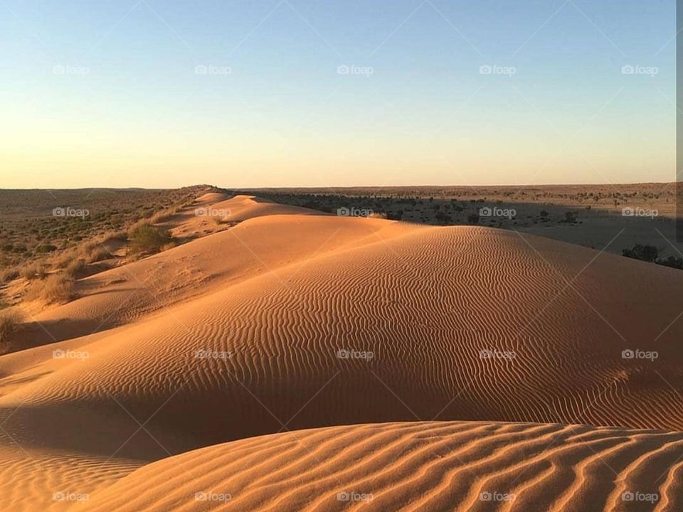 sahara ouarzazate morroco