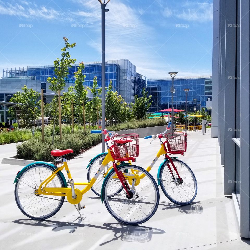 Google bikes in the Northern California campus