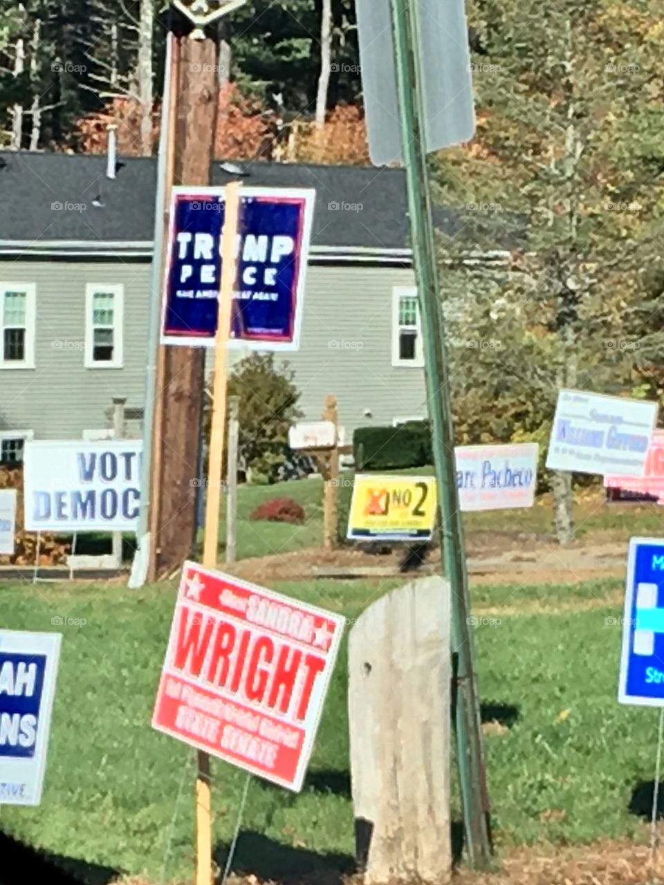 2016 USA 🇺🇸 Presidential Voting today. Freedom to Vote. Check out all the signs stuck in ground!