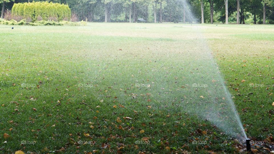 Watering 