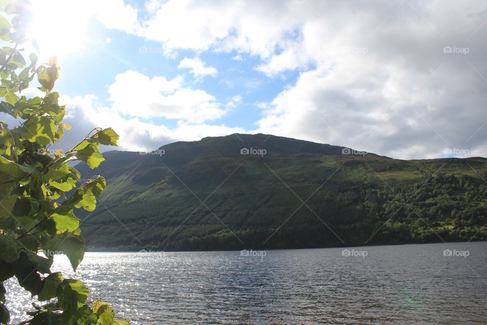 Landscape, Water, Lake, Tree, Nature