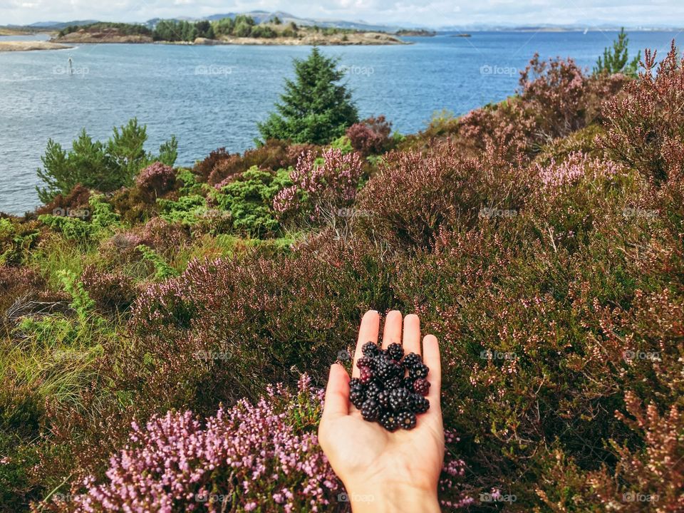 hiking with collecting wild berries