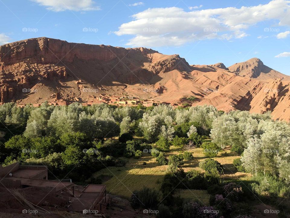 Todra Gorge in Ouarzazate in Morocco - Red and Brown Hills, Green Trees and Brush, Scenic but Dry Environment