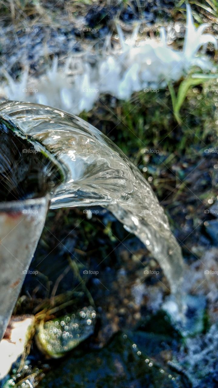 Nature, No Person, Wood, H2 O, Leaf