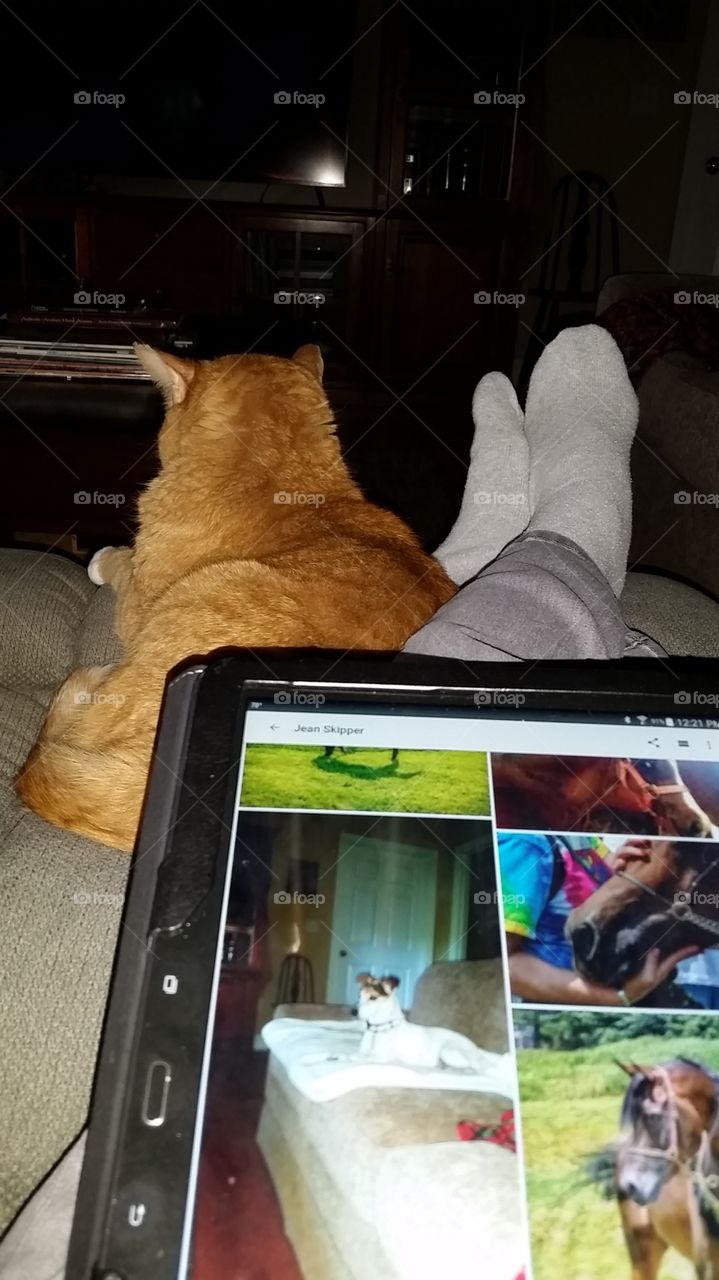 Foap on tablet with cat at feet