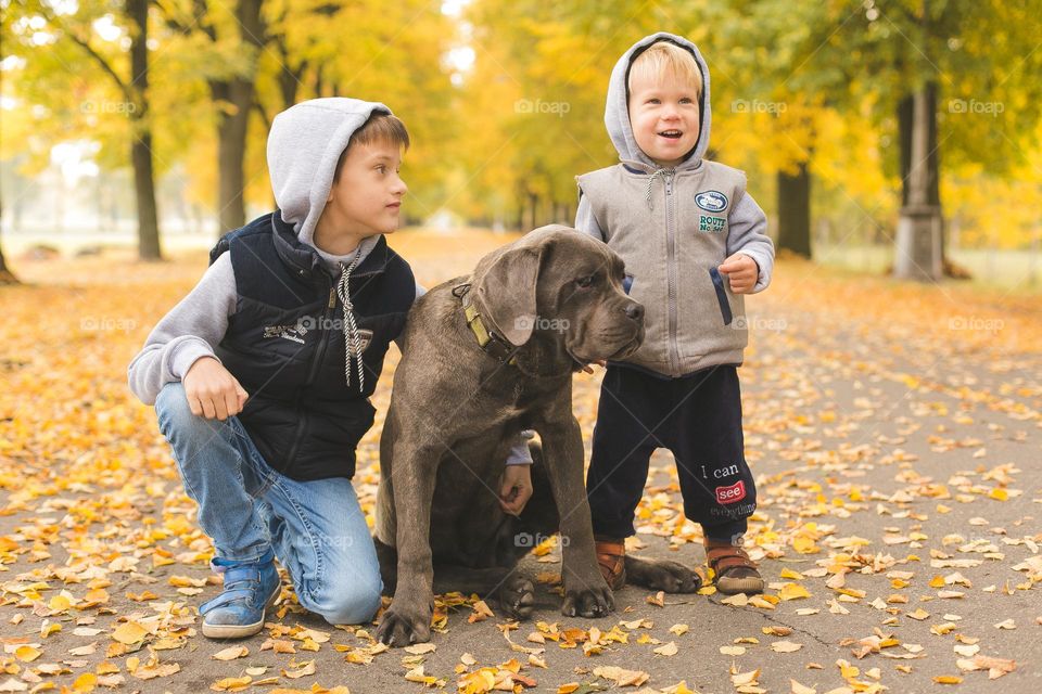 Cutest brothers with dog, happy boys 