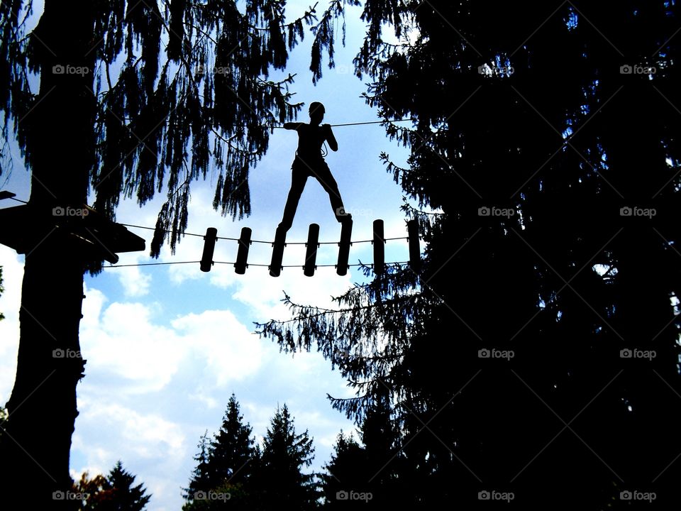 Silhouette of a woman climbing trees