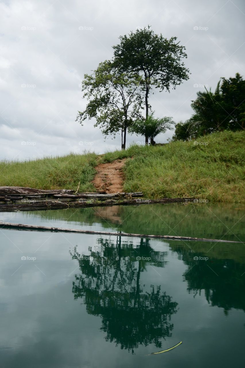 Taken in Kao Sok national park 