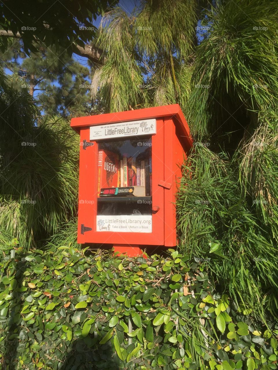 Little Free librairie 