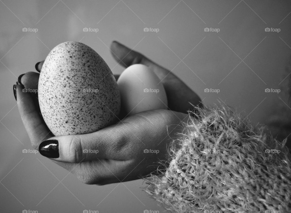 eggs in hands black and white