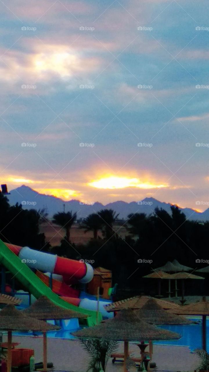 editors Choice photo on the week