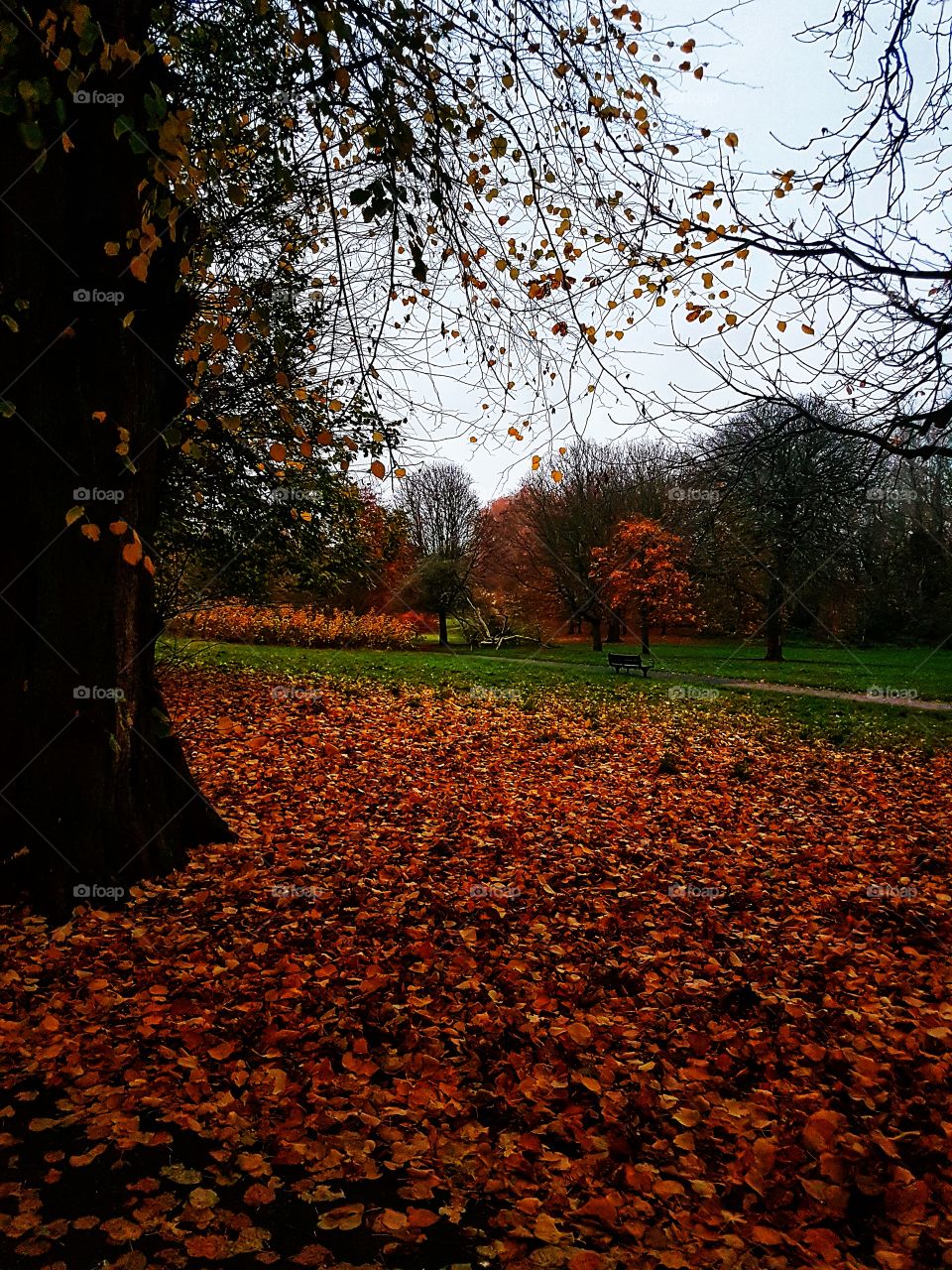 Autumn. London, UK...