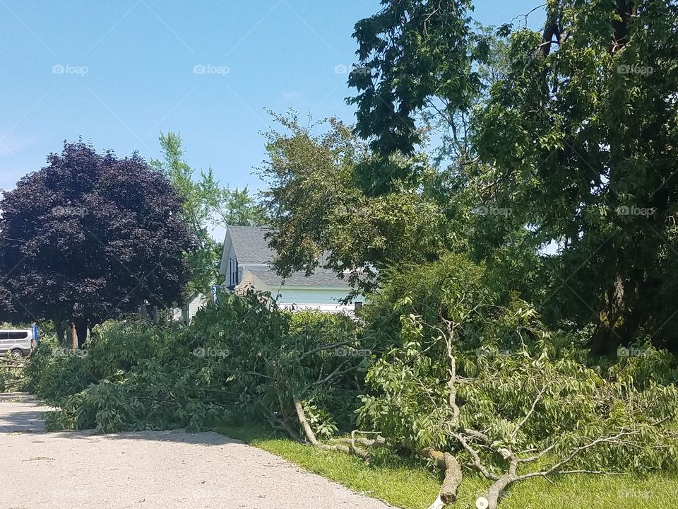 Damage after the storm