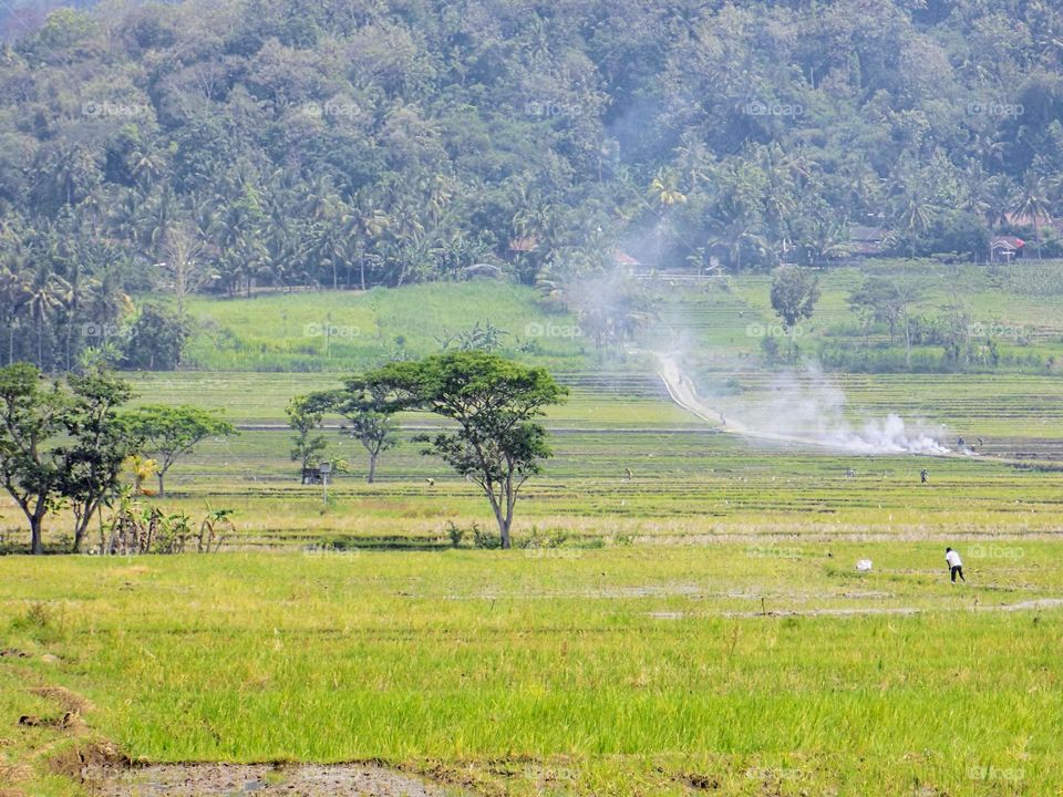 Natural scenery of Kulon Progo village