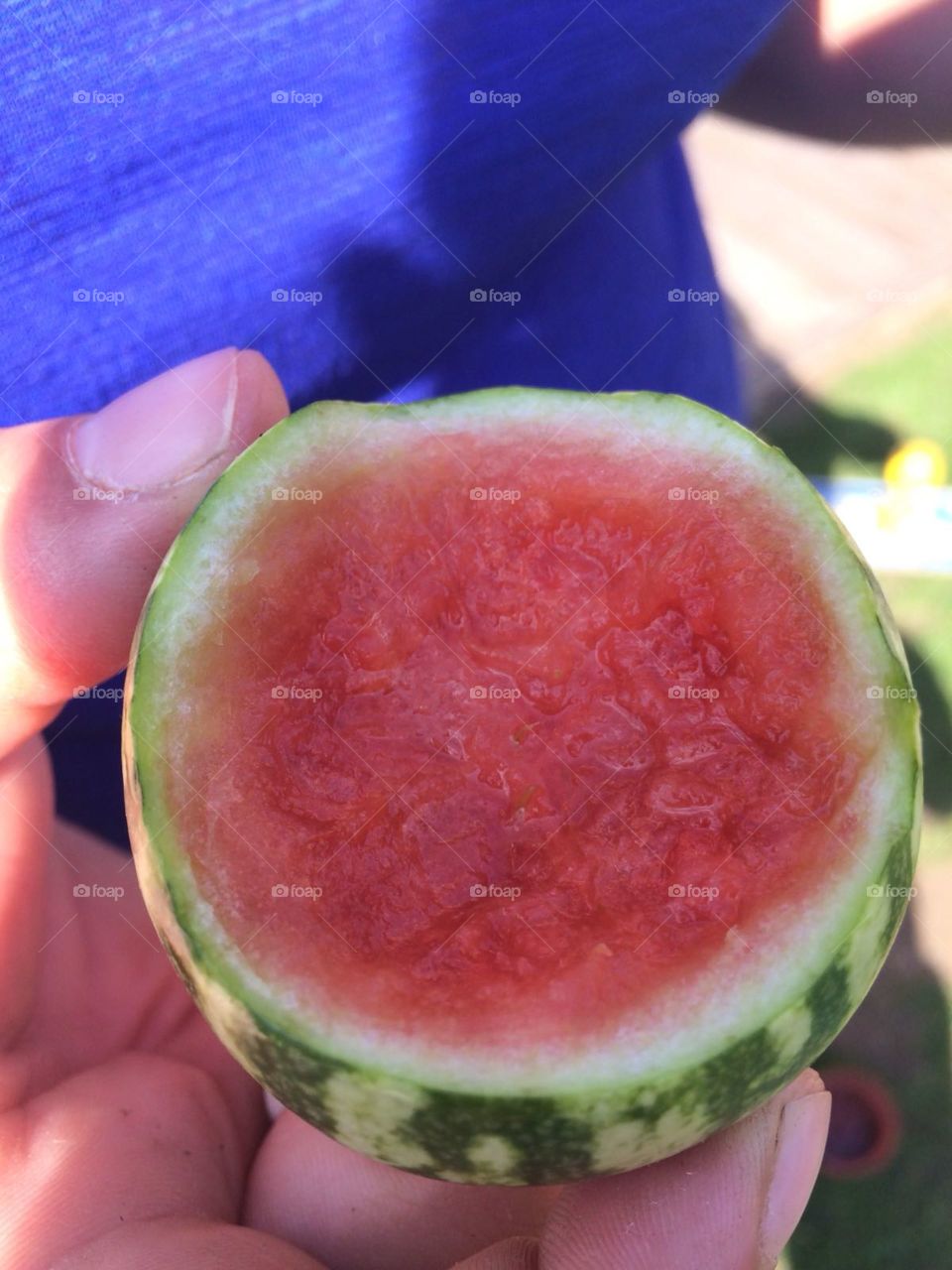 Baby Watermelon UK