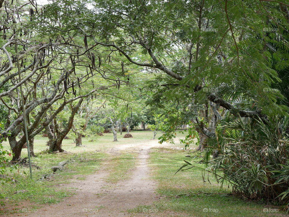 The farm road to a House's friend un Zamorano