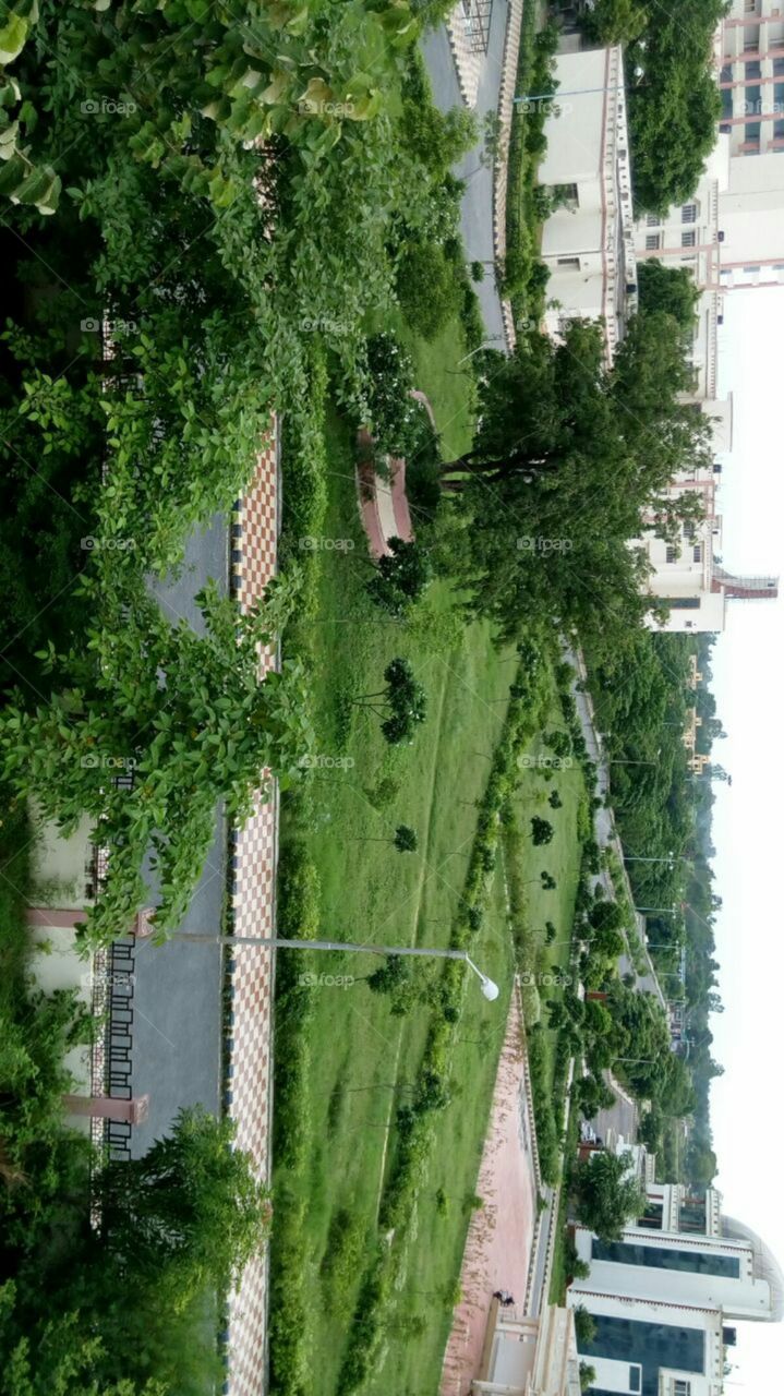 green beautiful roads