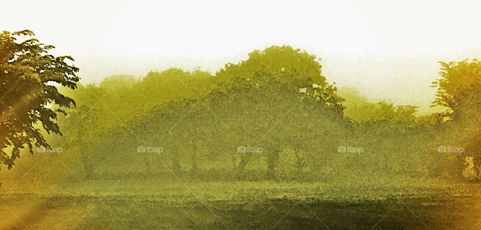 High definition filter creates a foggy misty field with trees and grass