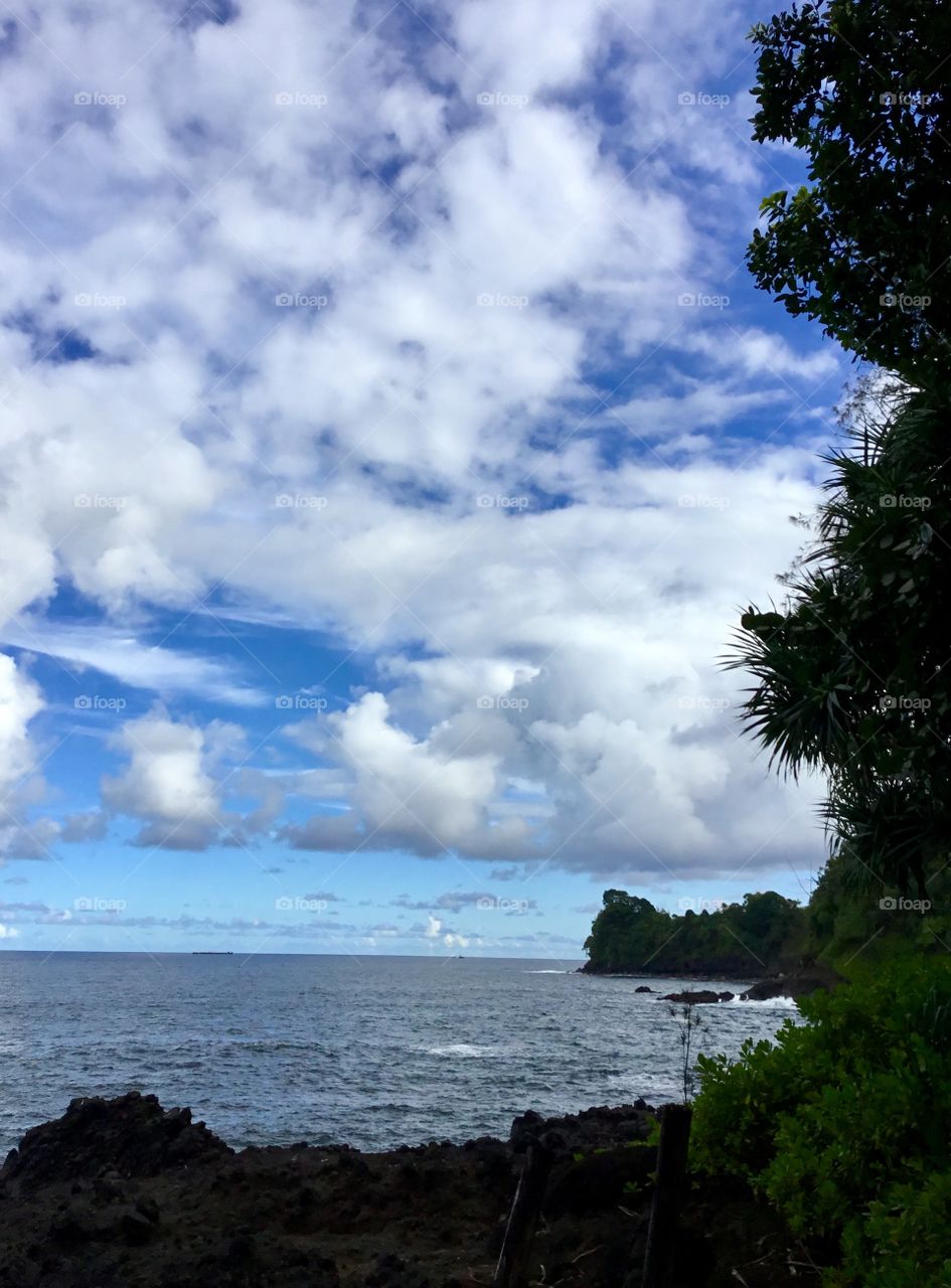 Ocean view at Hawaii Tropical Botanical Garden