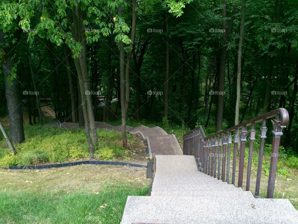 A staircase down in the park