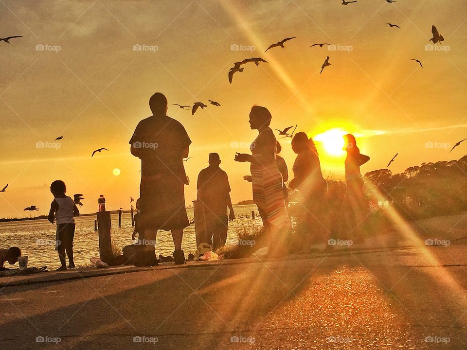 Golden family time. Family feeding birds during the golden hour