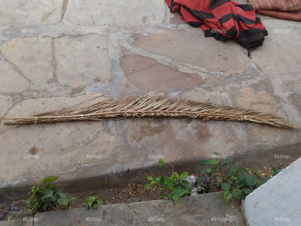 Palm Broom