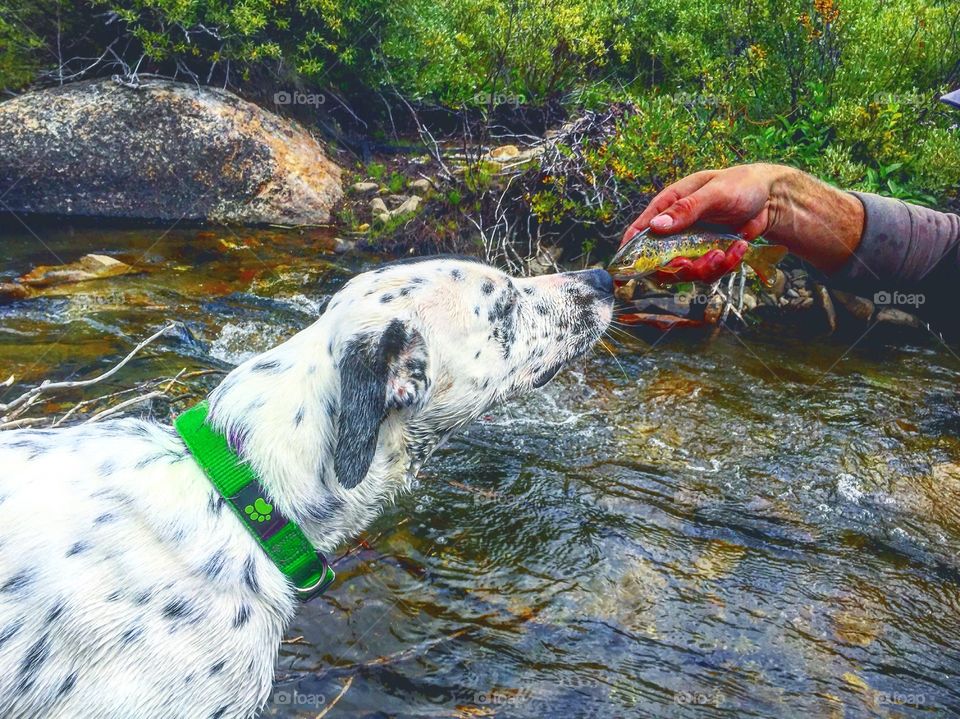 Just a pup and his pal the trout