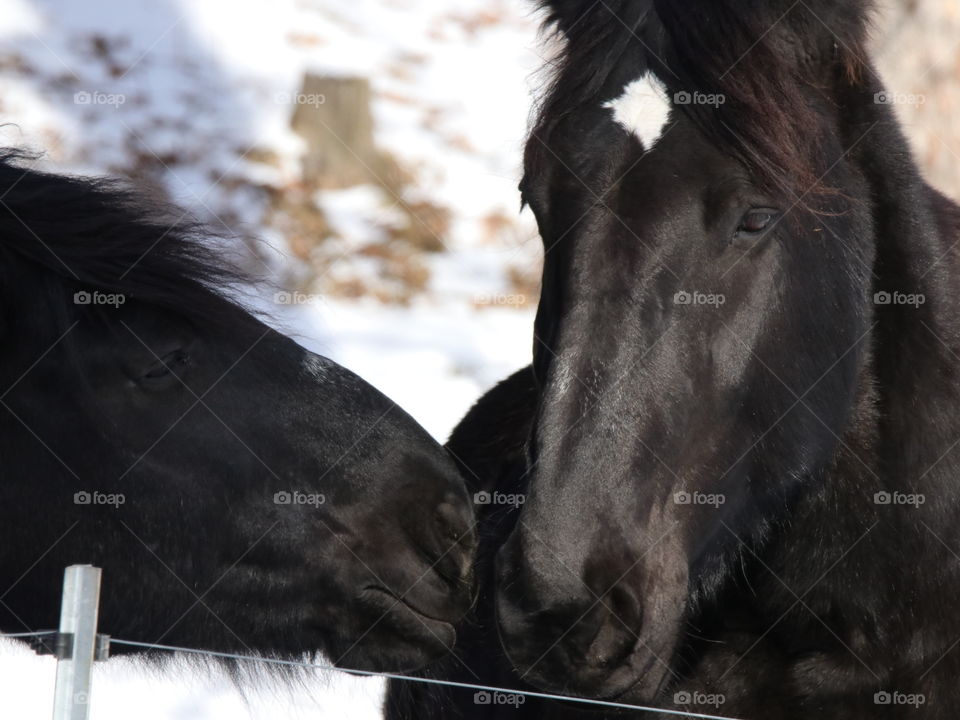 A tender moment