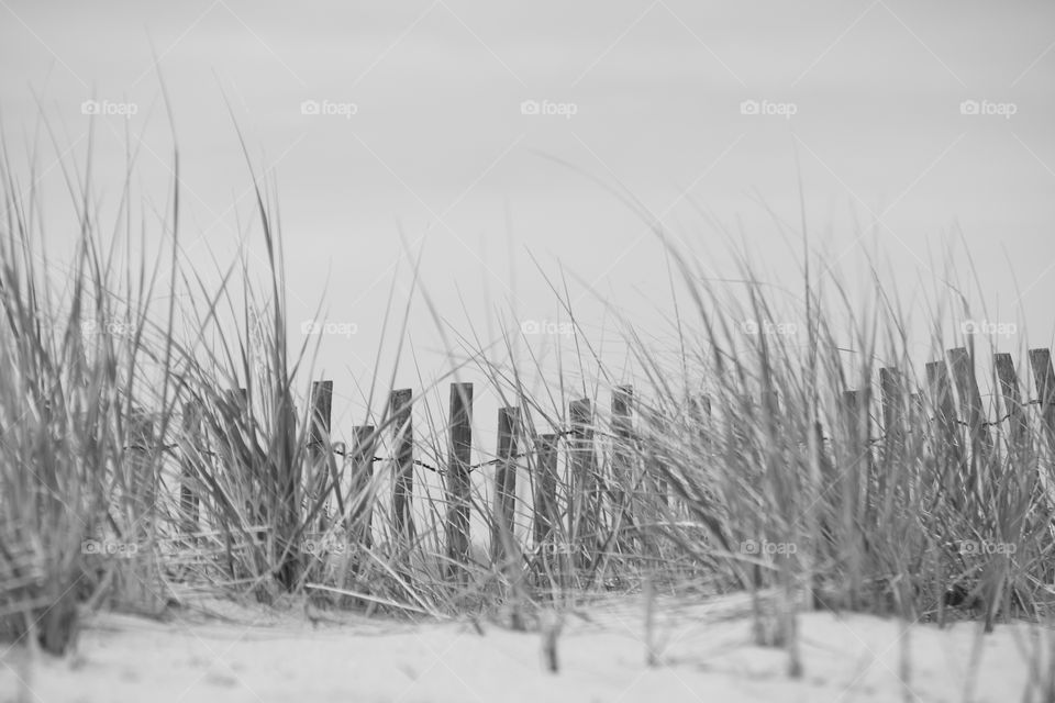 Breezy day at the beach 