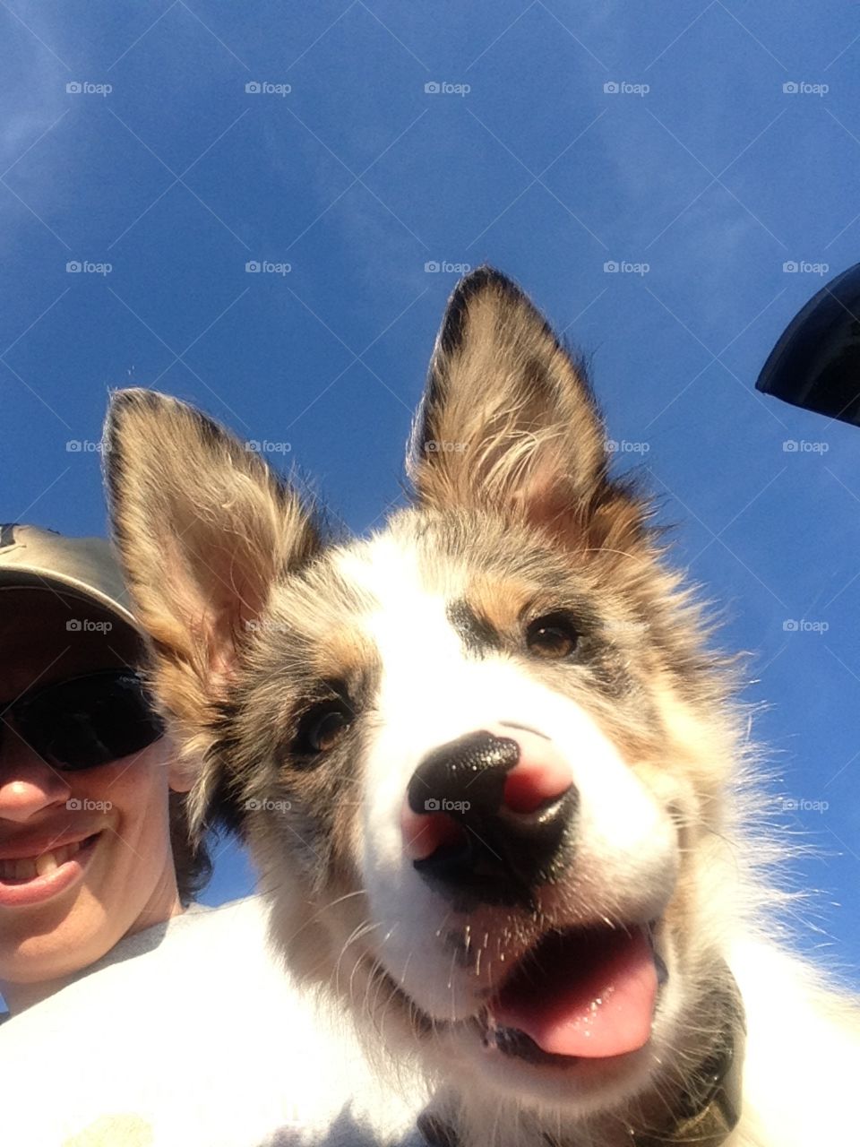 Puppy Selfie
