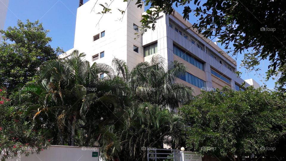 Architecture, Building, No Person, Tree, Travel