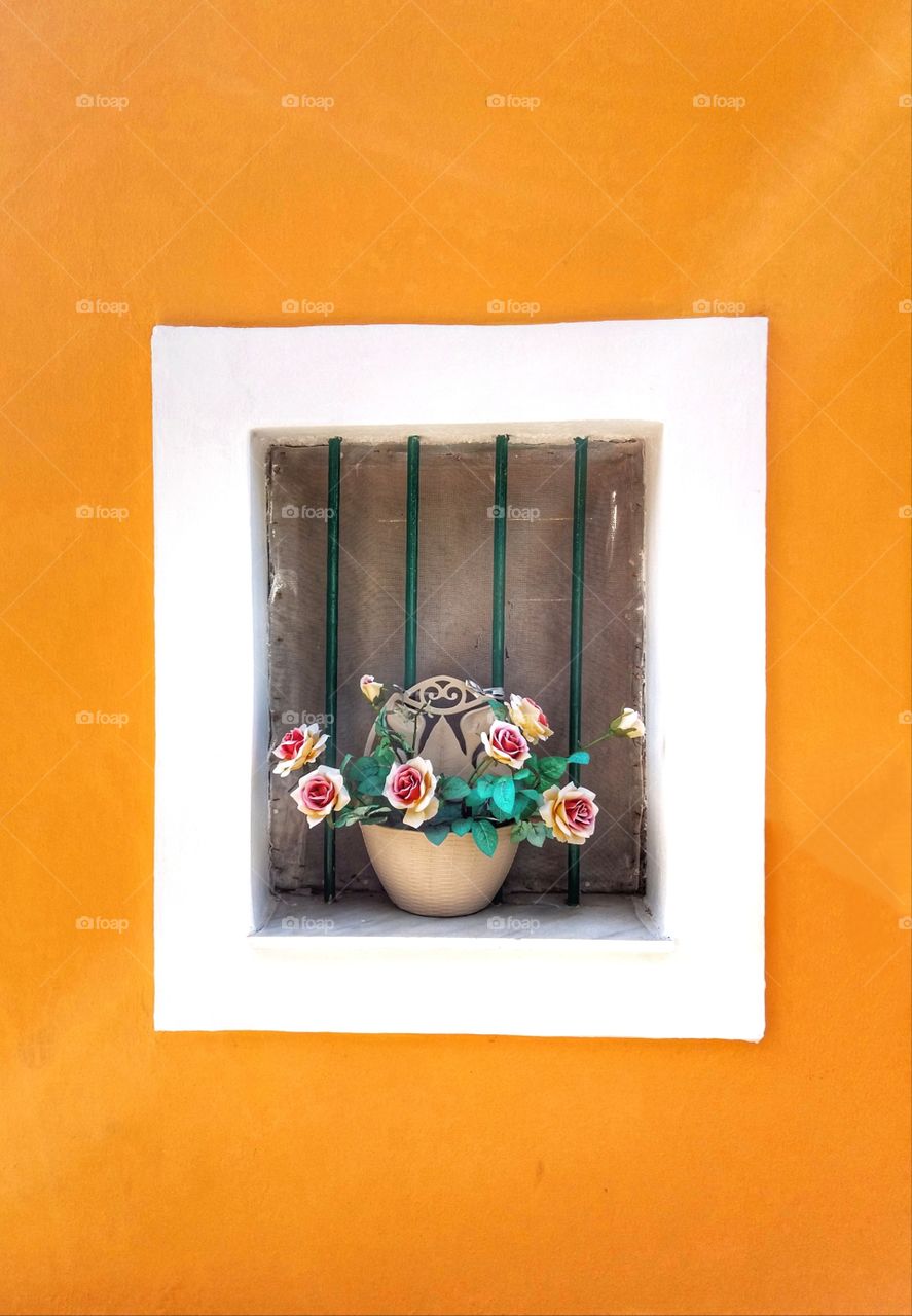 Put colors in your life !