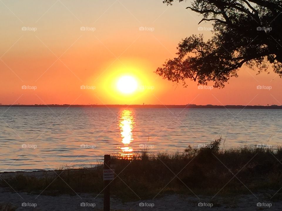 Golden glow. The sunset during the golden hour on the bay 