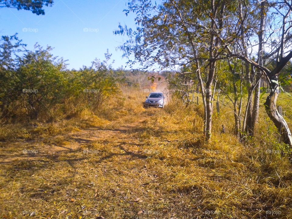 Car racing on the dirt road