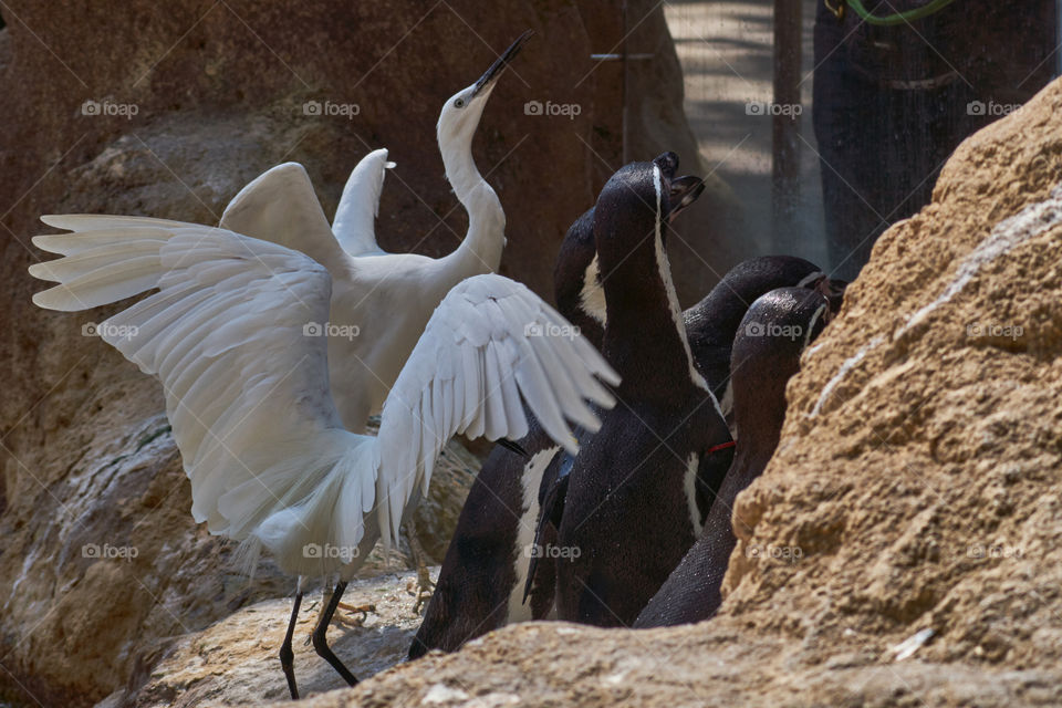 Zoo de Barcelona. Barcelona