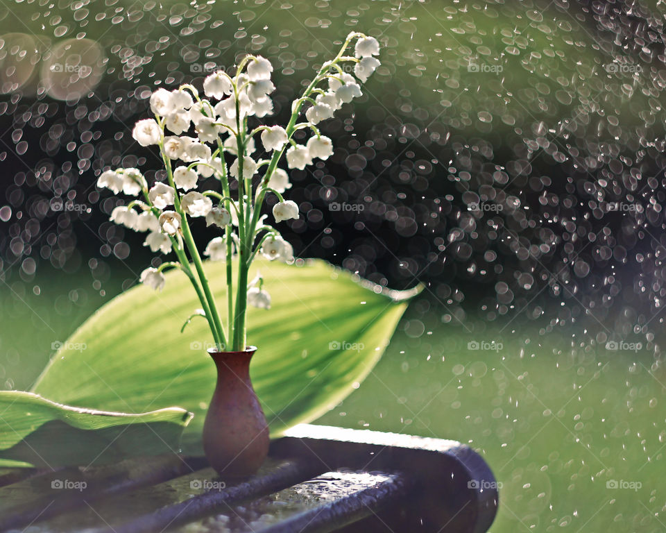 Small bouquet of fragrant flowers in the hot summer